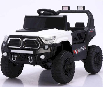 ელექტრო მანქანა GM-508-W